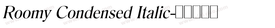 Roomy Condensed Italic字体转换